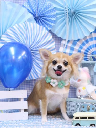 20231115りるちゃん